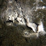 「氣體噴出孔構造」的海底地形中，埋藏了甲烷水合物（中間白色的部分）。（日本經濟產業省提供。）