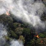 農牧業者非法焚燒巴西亞馬遜雨林。政府表示，雨林砍伐量已達24年來新低。（Rodrigo Baleia 攝 / Getty Images 提供）