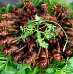 越南胡志明市的炸蟋蟀菜餚。全球有超過20億人對於吃蟋蟀習以為常。（節錄自Reuters新聞照，Kham攝）