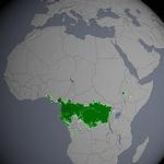 NASA影像中，綠色面積為剛果的熱帶雨林。（來源：NASA Goddard’s Scientific Visualization Studio）