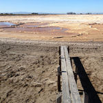 加州納帕水池7號是已乾涸的鹽池，佔地370英畝，位於納帕索諾瑪（Napa Sonoma ）鹽澤，上週五舉行埋設管線工程完成典禮。（照片：JL索薩。）