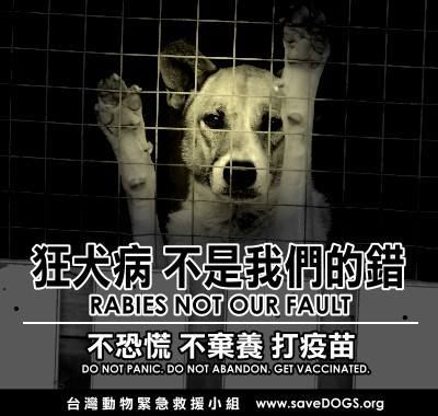 狂犬病友善貼紙。（來源：台灣動物緊急救援小組）