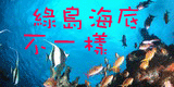 珊瑚體檢banner