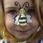 用來殺死蜜蜂的殺蟲劑含有新菸鹼類成分，研究人員認為可能影響人類健康，尤其不利兒童腦部發展。（攝影：Dan Kitwood/Getty Images。）