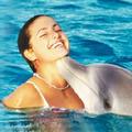 生態療法：與海豚共游