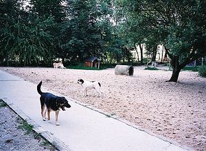 除了供參觀民眾與工作人員步行的水泥步道外，運動區內全為沙地，且有犬屋等設施供狗狗躲藏嬉戲。狗狗的自由活動時間，就是任其在運動區內盡情玩耍。