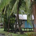 Tortuguer的居民順應自然條件，以架高的住屋形式與水和諧共存