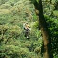 canopy tour：滑行於鋼索上，在森林之上所進行的「樹頂旅遊」。