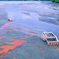 海灣備有毒礦砂污染現場。圖片提供： DFO。