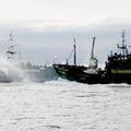 兩船相撞當下被日籍船隻經過拍下。圖片提供：Institute for Cetacean Research。