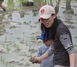 圖片來源：臺北縣土城市生態保育協會