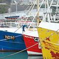 在愛爾蘭Dunmore港停泊的拖網漁船；圖片來源：Dave Hearne