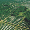 鳥瞰奧基喬比湖以南的美國糖業土地；圖片來源：美國製糖公司提供。