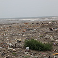 桃園海岸現況；圖片提供：台灣海洋環境教育推廣協會