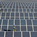 裝設於西班牙北部La Rioja的太陽能板。圖片來源：T Solar集團