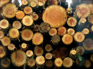 世界社會論壇：保育亞馬遜雨林 禁止人為破壞；圖片來源：Amazon Watch