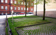 芬蘭赫爾辛基的停車格面容許綠草生長，並可讓雨水入滲；攝影：廖桂賢 