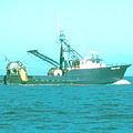 底拖網漁業（bottom trawling）是一種對海底傷害極大的破壞性捕撈方式。