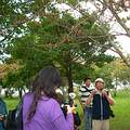 經過郭城孟教授解說，記者們從一棵雀榕的生態了解全台灣地理環境的生態。