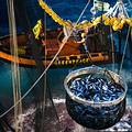 圍網漁船撈起人工集魚裝置聚集的鮪魚。圖片來源：Green Peace