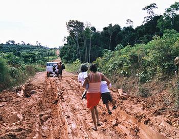 巴西亞馬遜流域新開的道路(Julio Pantoja 攝)