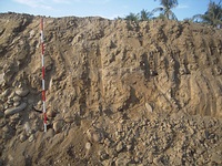 挖開之地層斷面清楚得見文化層堆積，顯示對遺址之重大破壞