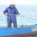 早年東莒的漁業繁盛，居民多半捕魚維生。