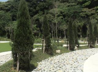 詠愛園樹葬區。圖片來源：台北市殯葬管理處