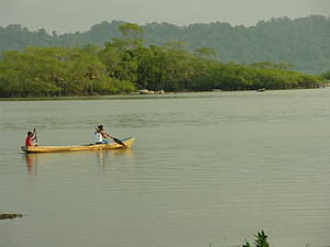 哥倫比亞馬拉加灣。照片來源：世界自然基金會