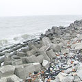 水泥化的海岸（圖片來源：我們的島）