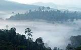 婆羅州核心區(圖片來源：WWF)