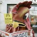 6日早上在英國有十多隻7英呎高的「雞」闖入數家麥當勞，並把牠們自己栓在椅子上。