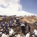 會員們在御殿場口第五個登山站種植樹木，身後是白雪覆蓋的富士山／圖片版權歸屬社團法人日本國民信託協會（The Association of National Trusts in Japan）