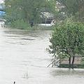 2006多瑙河水患（圖片來源：ENS）
