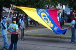 1月24日社會論壇開幕時，以委內瑞拉國旗蒙面，疑似遊擊隊人士亦加入遊行的行列中，引起許多人士側目。