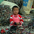 電子廢棄物堆中的中國小孩(照片來源：綠色和平)