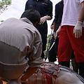 鯨豚協會獸醫楊瑋誠解剖擱淺的鯨豚，發現內臟有很多氣泡，懷疑是得了潛水夫病。
