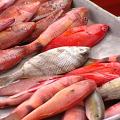 台灣魚產多存在著化學藥物殘留與環境賀爾蒙的問題。