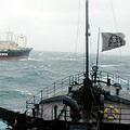 海洋看守保育協會船艦阻撓日籍捕鯨船進行作業。