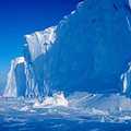 南極冰山(圖片來源：美國NOAA)