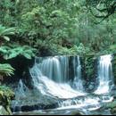 你有多「愛」雨林（照片提供：美國國家大氣研究中心）