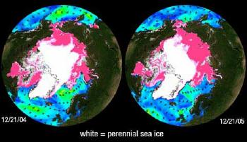 北極海冰消圖（圖片來源：NASA）
