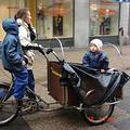 改裝腳踏箱型車，以應付載貨或載小孩的多功能用途>