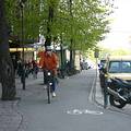 自行車道大都設置介於人行道和路邊停車格之間