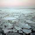 北極海冰（圖片來源：Arctic Coring Expedition）