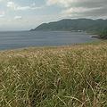 蘭嶼青青草原(圖片來源：公共電視我們的島) 