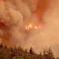 奧勒岡州Biscuit森林大火(照片來源：美國農業部)