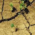 澳洲正遭遇空前的乾旱威脅（圖片來源：EC）