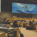 肯亞奈洛比氣候變遷會議現場（圖片來源：Earth Negotiations Bulletin）