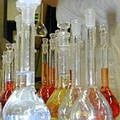 未來歐盟化學物必須登記並以較安全的物質替代有毒物（圖片來源： IGB）